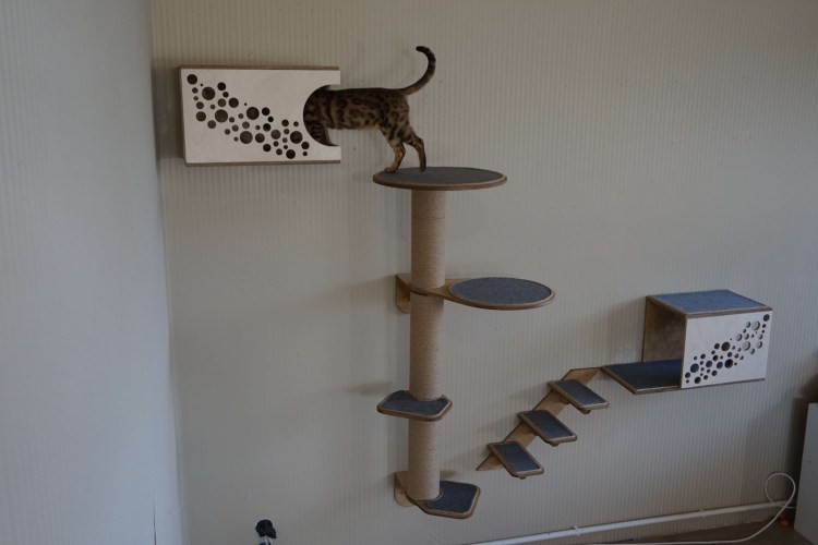 Большой игровой комплекс для кошек