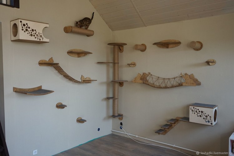 Креативные домики для кошек