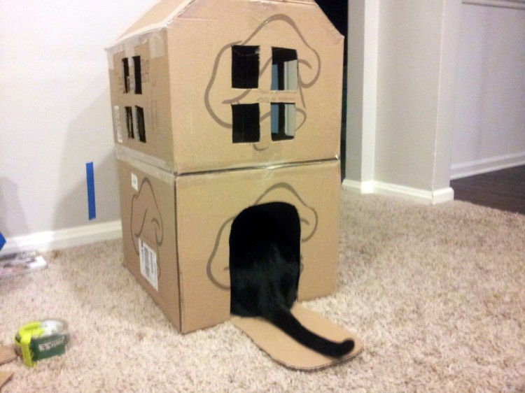Туннель для кошек из коробок