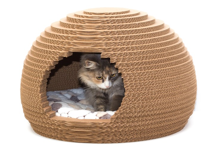 Дом для котенка из коробки