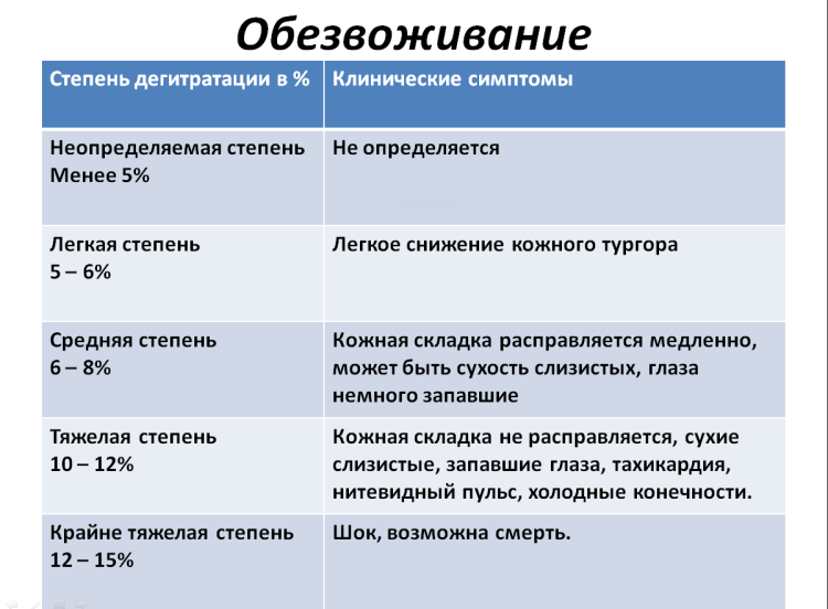 Где находится холка у кошки