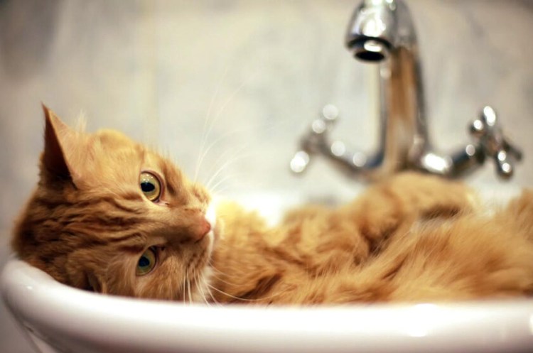 Прикольные ванны