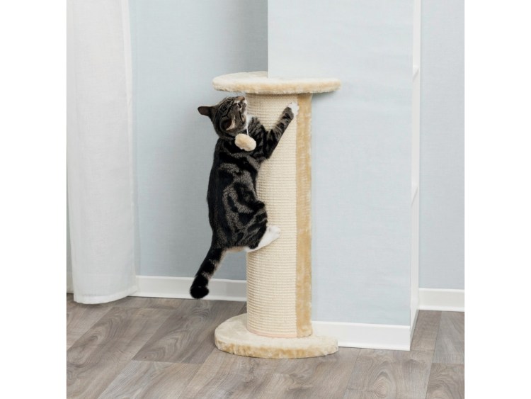 Триол когтеточка угловая, 800*280*10мм ct25