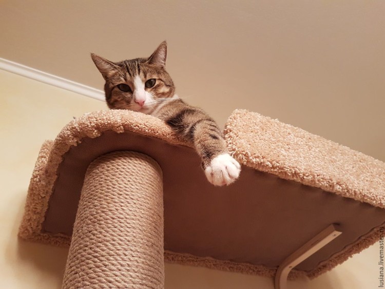 Чем прикрепить когти точку диван