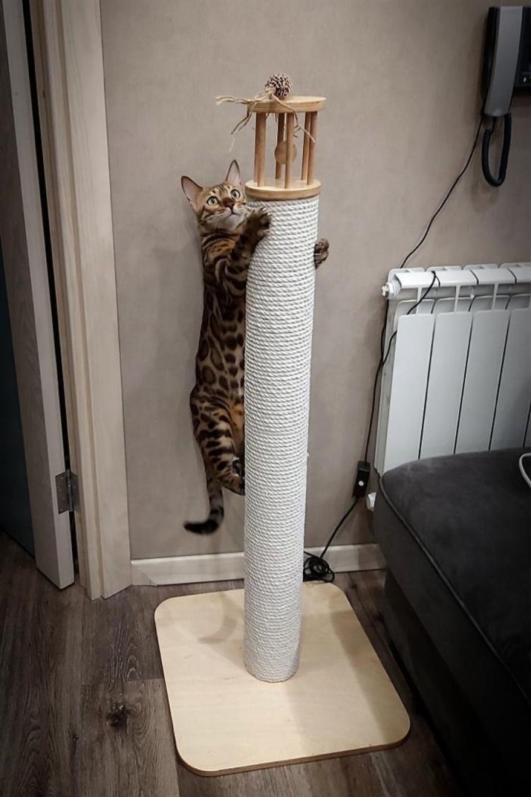 Чехлы на подлокотники дивана от кошек