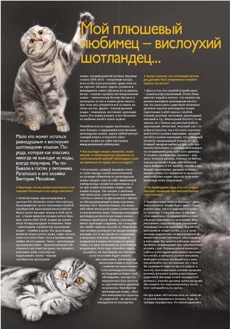 Таблица корма Хиллс для котят