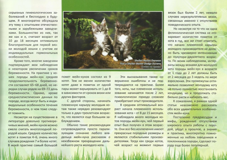 Purina Pro Plan для котят норма кормления