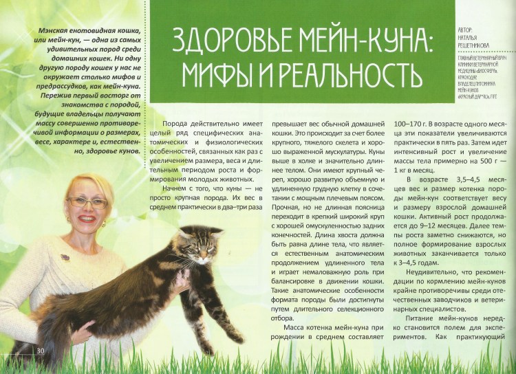Как кормить котенка 2 месяца сухим кормом