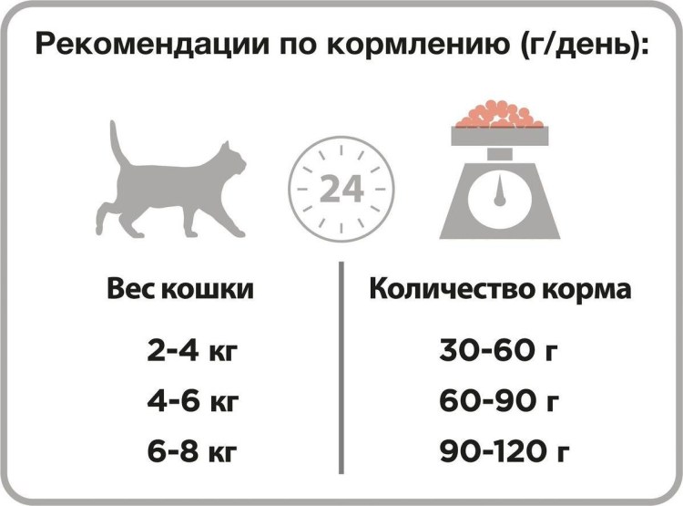 Домашняя еда для маленького котенка