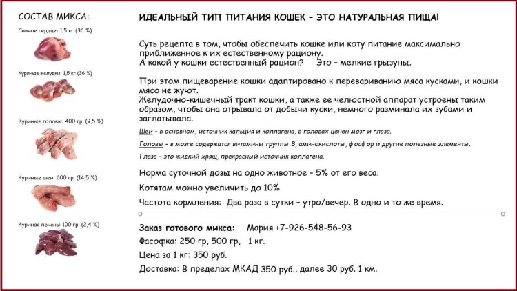 Бракованные котята от британских