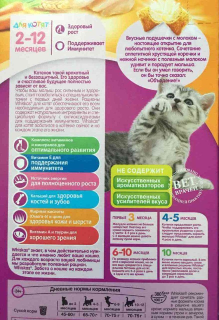 Меню рацион для котёнка