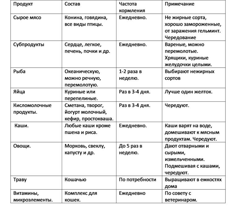 Рацион для кошки из натуральных продуктов на неделю