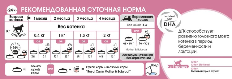 Кормление котенка Мейн куна по месяцам таблица