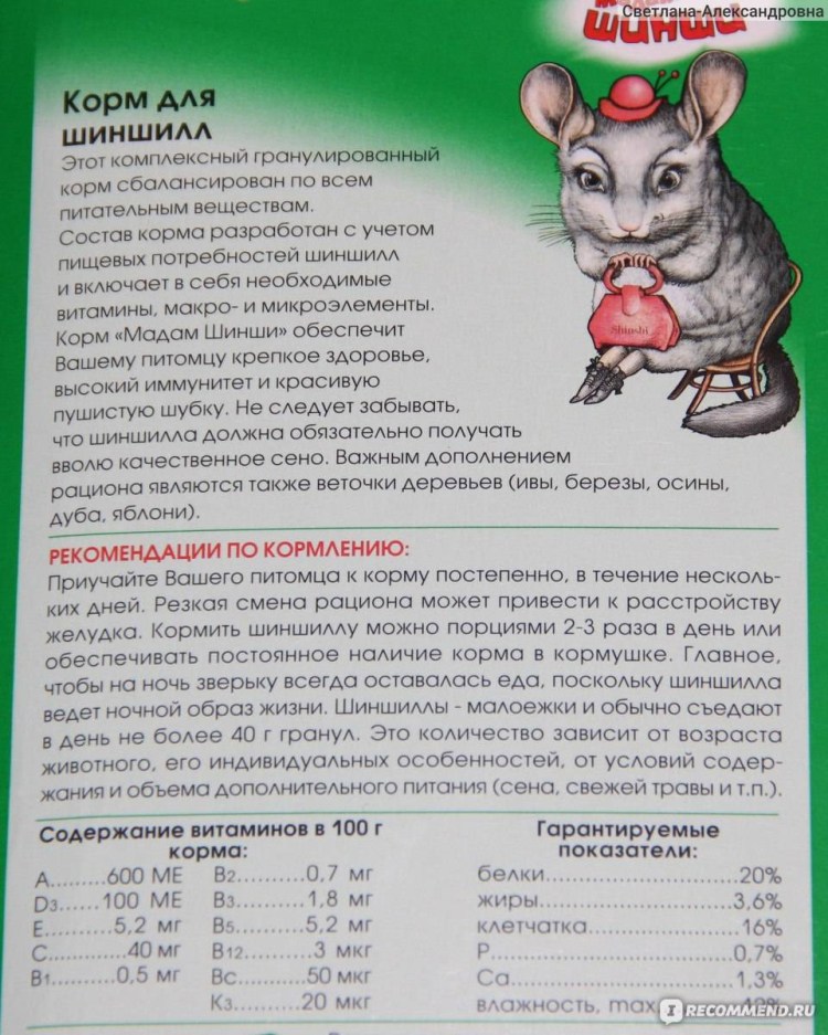 Чем кормить котенка мейкуна