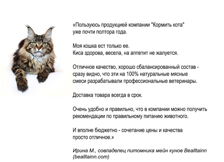 Кот в молоке