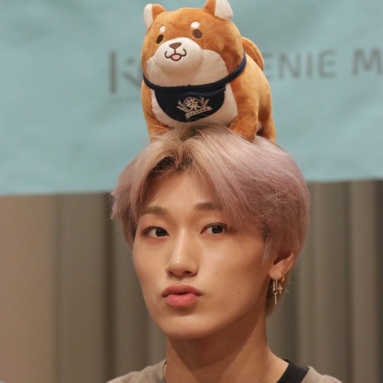 Йоши блоггер