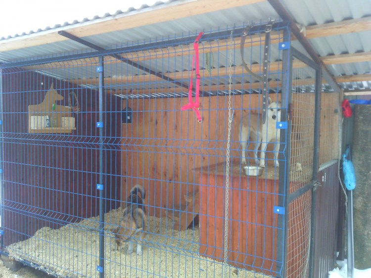 Вальер для немецкой овчарки