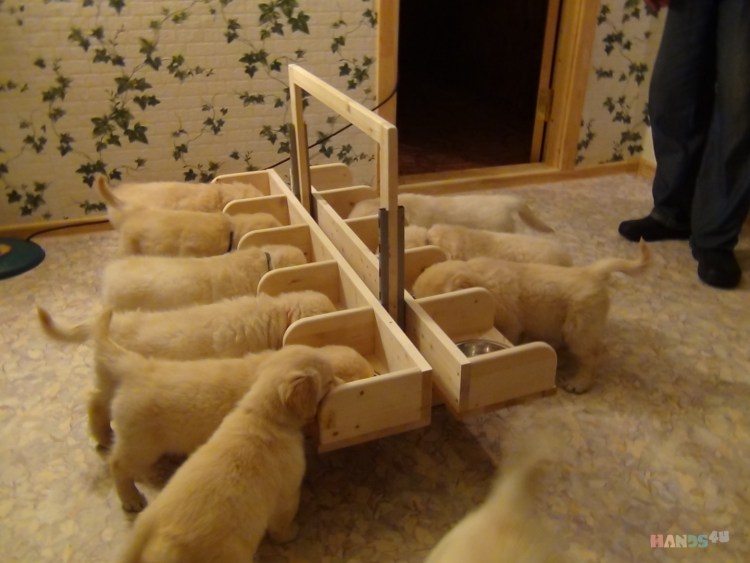 Кормушка для щенков