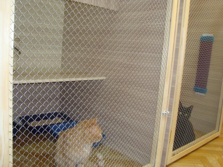 Вольеры из пластиковых труб