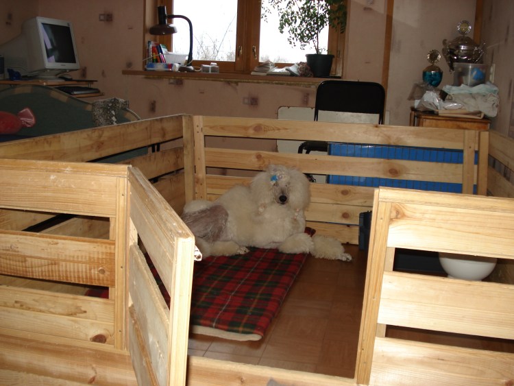 Загон для щенков