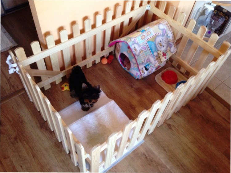 Клетка для собаки в интерьере