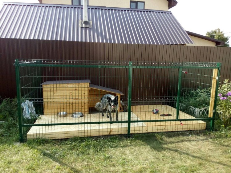 Вольер для питомника собак