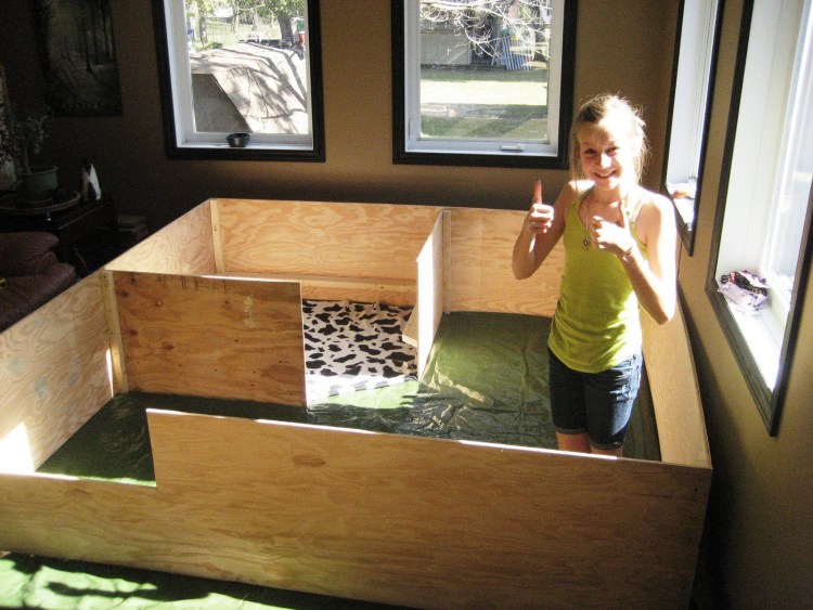 Родильный домик для собаки