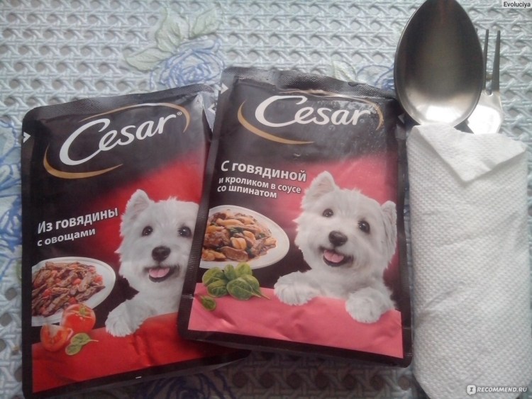 Собачья еда Цезарь