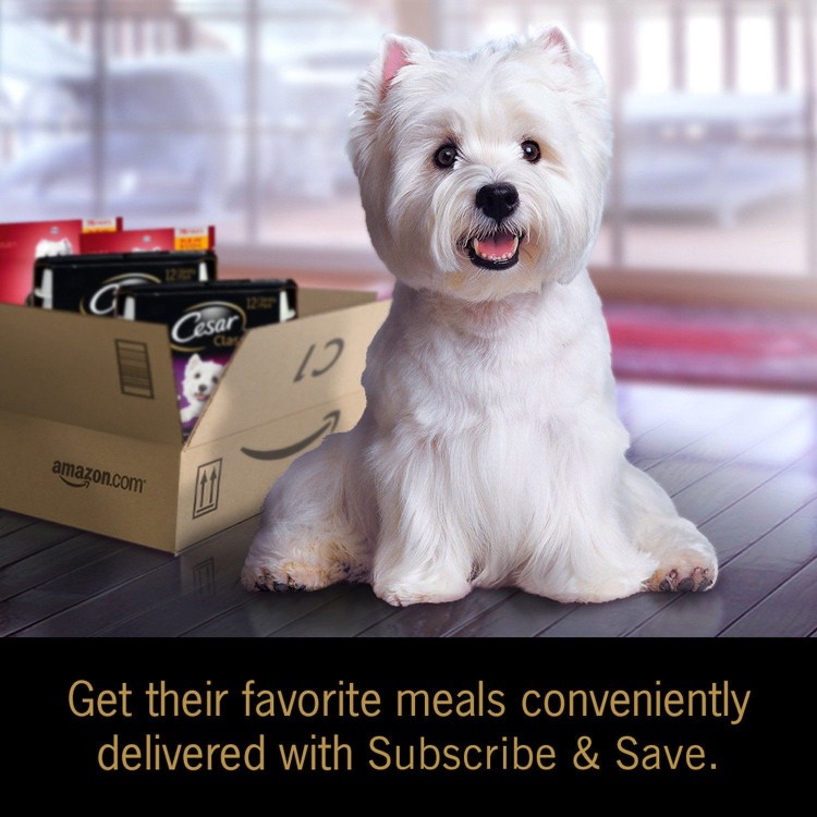 Артист из рекламы собачьего корма Цезарь