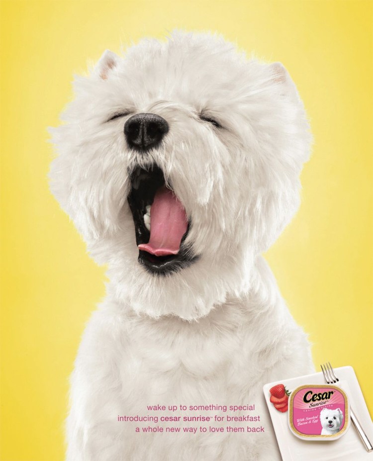 RFR yfpsdftncz gjhjlf BPJ,HF;TYFZ YF egfrjdrt rjhvf wtpfhm