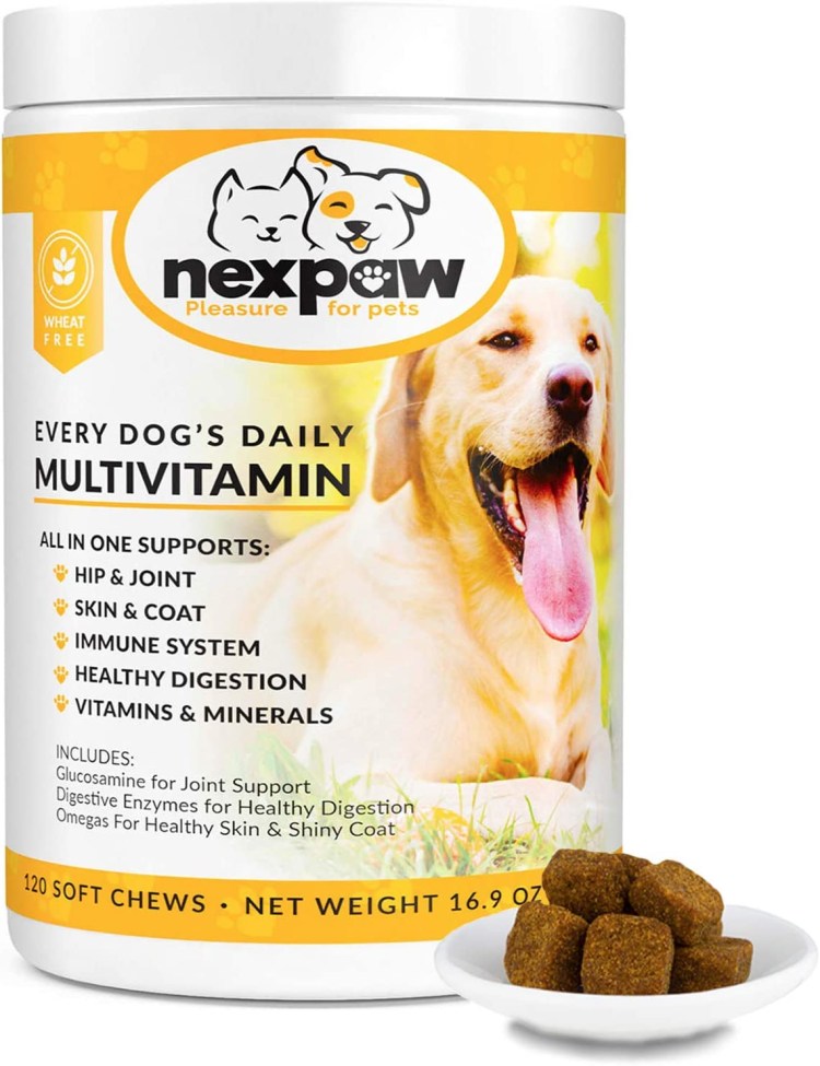 Daily Pet для собак