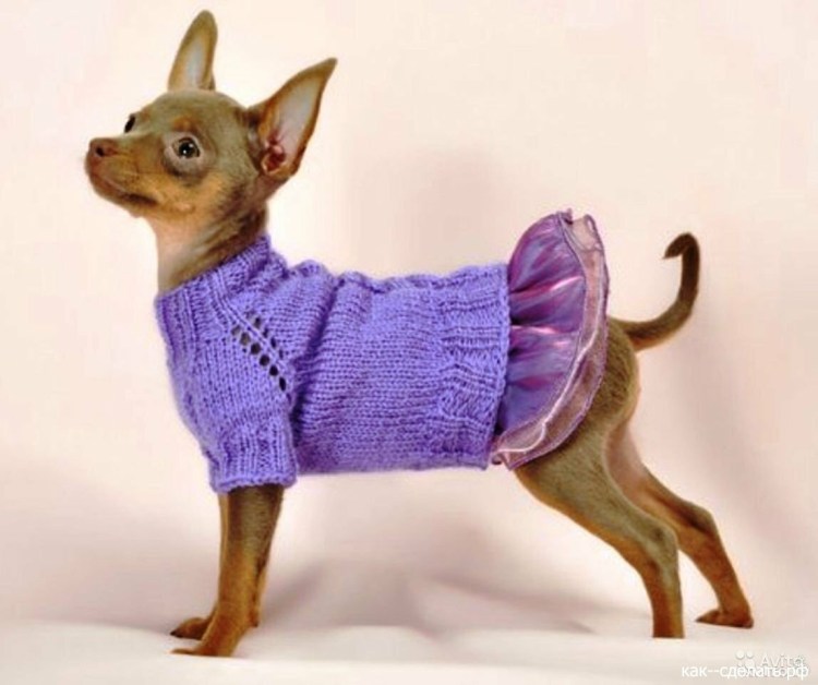 Платье для той терьера