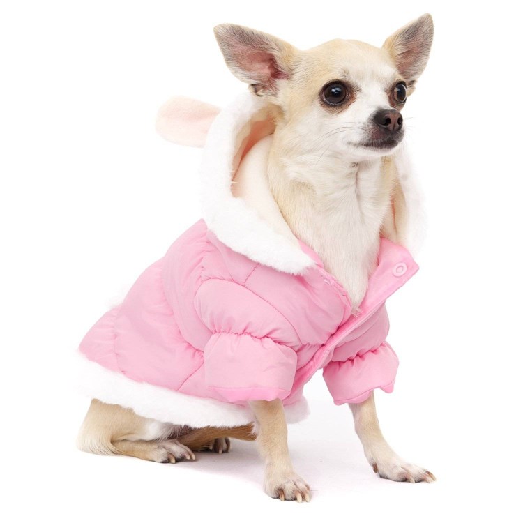 Вязаная одежда для собак