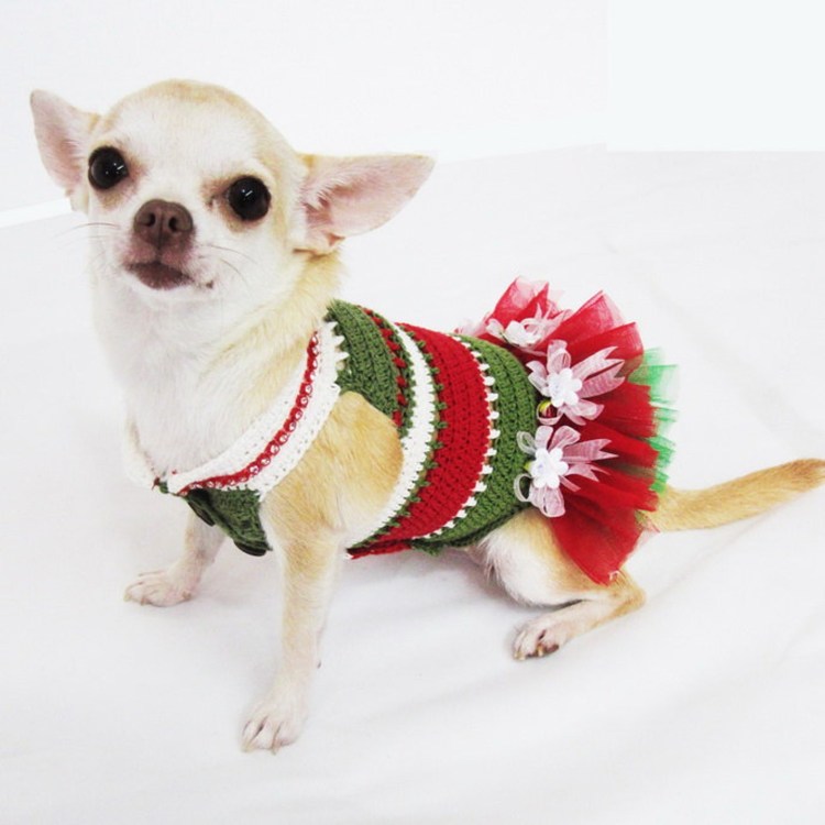 Наряды для чихуахуа