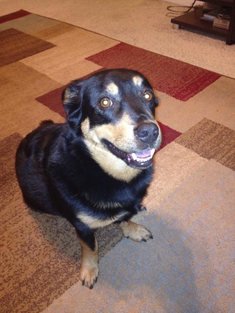 Ротфарт Леннокс