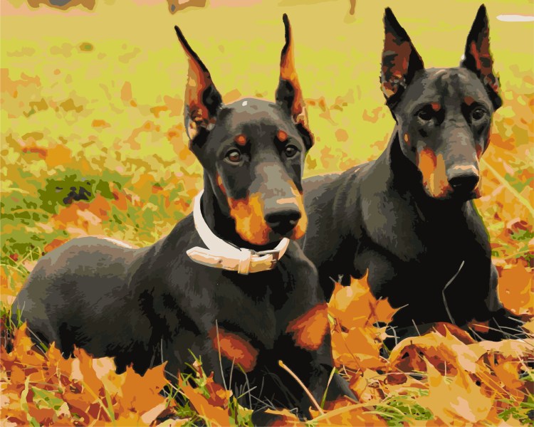 Доберман на ручках