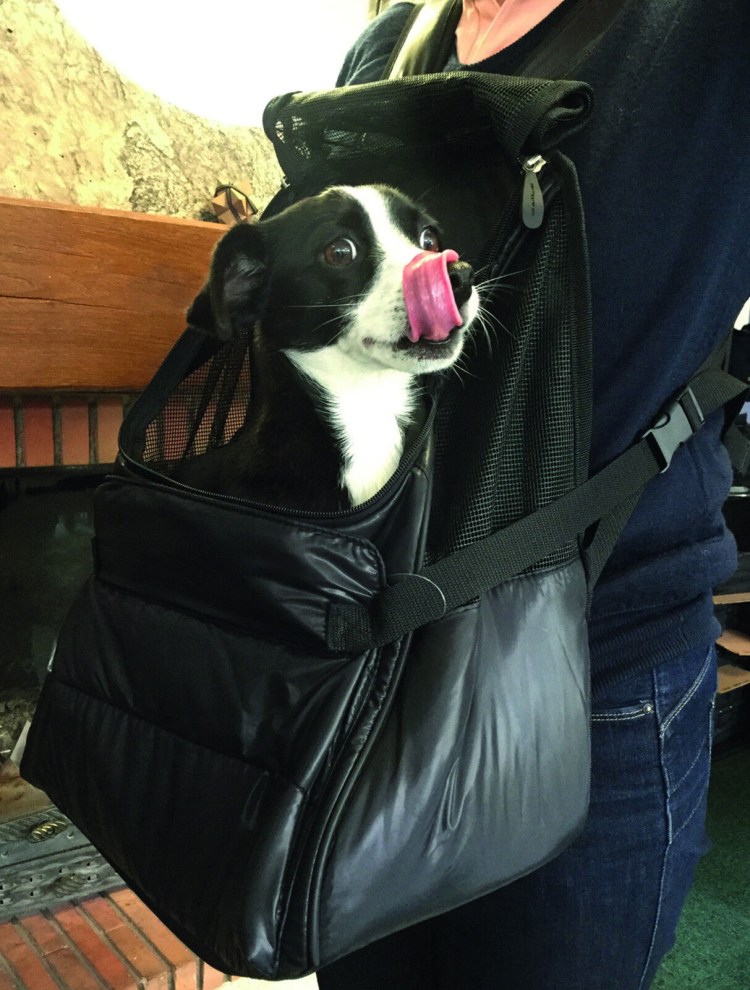 Переноска-кенгуру Malta 35х22х40см