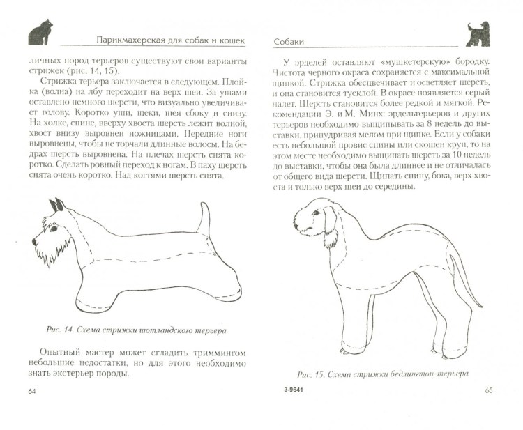 Clipping Style Grooming Pets