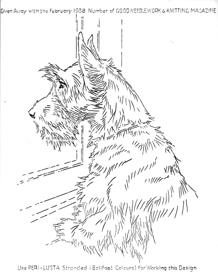 Схема тримминга Вест хайленд Уайт терьера