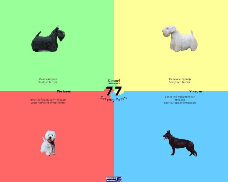 Схема для вышивки Вест хайленд Уайт