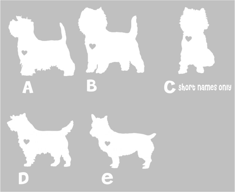 Керн терьеры бар Ригон