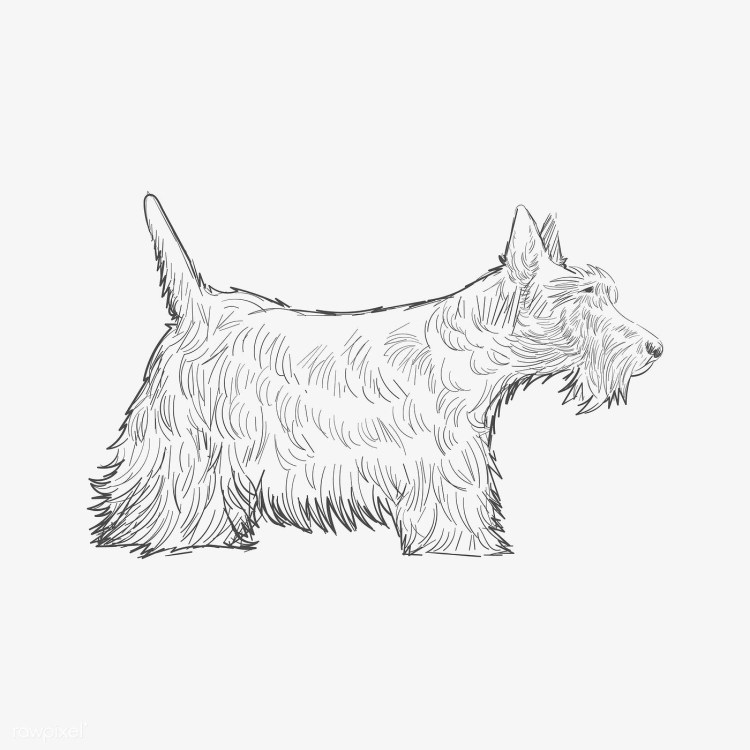 Вышивка крестом Керн терьер