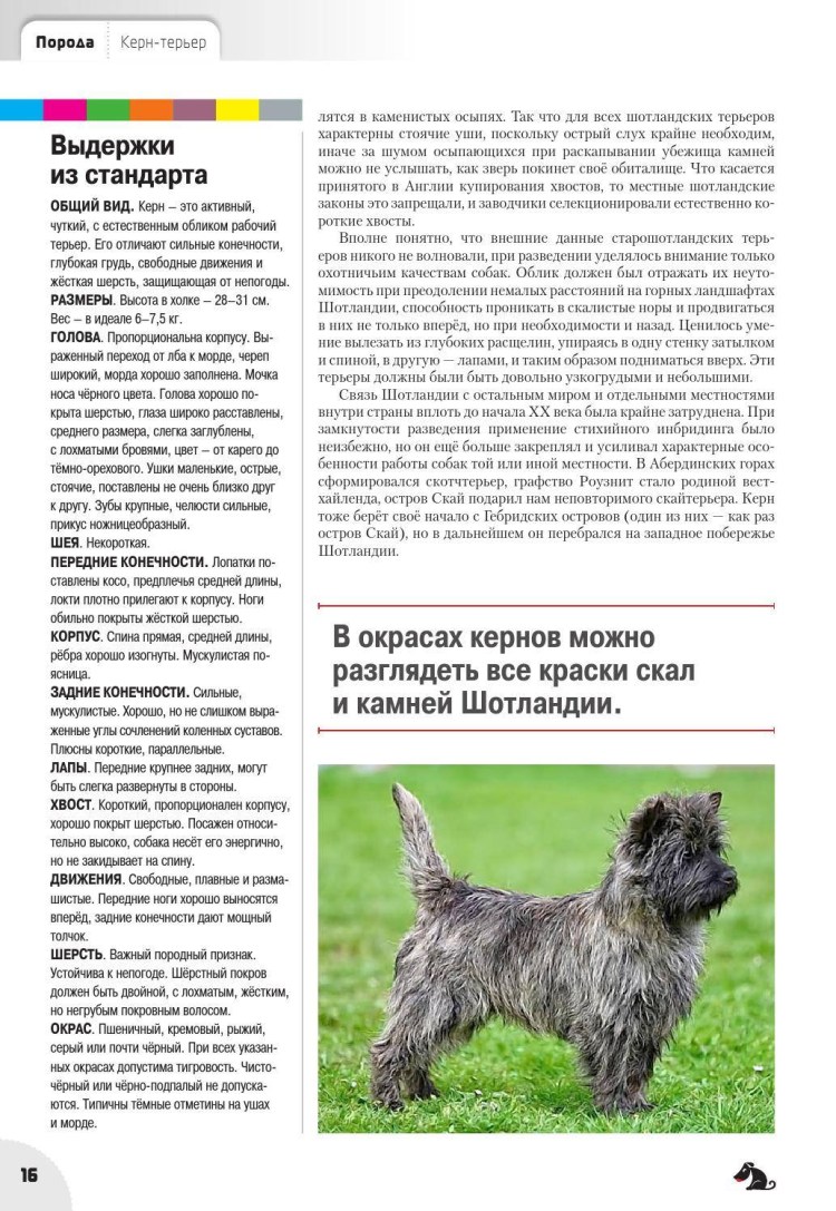 Схема тримминга Вест хайленд