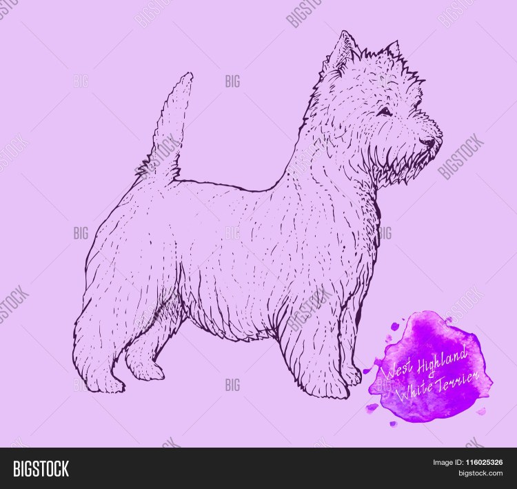 Керн терьер рисуночки