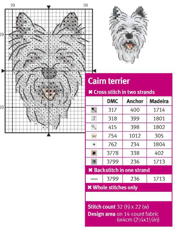 Скай терьер стандарт