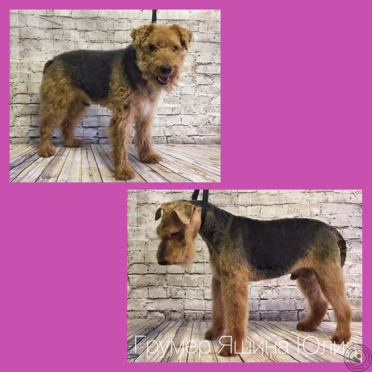 Заповедник Цинжи-дю-Бемараха Мадагаскар