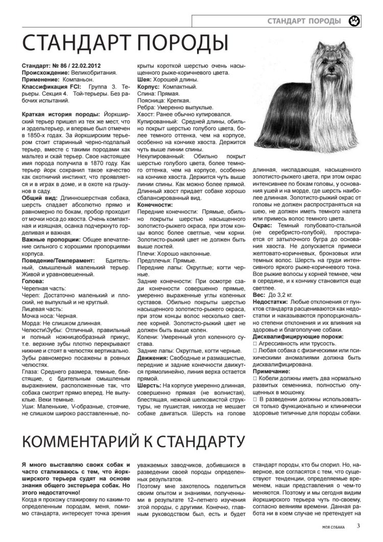 Раскраска Вест хайленд Уайт терьер