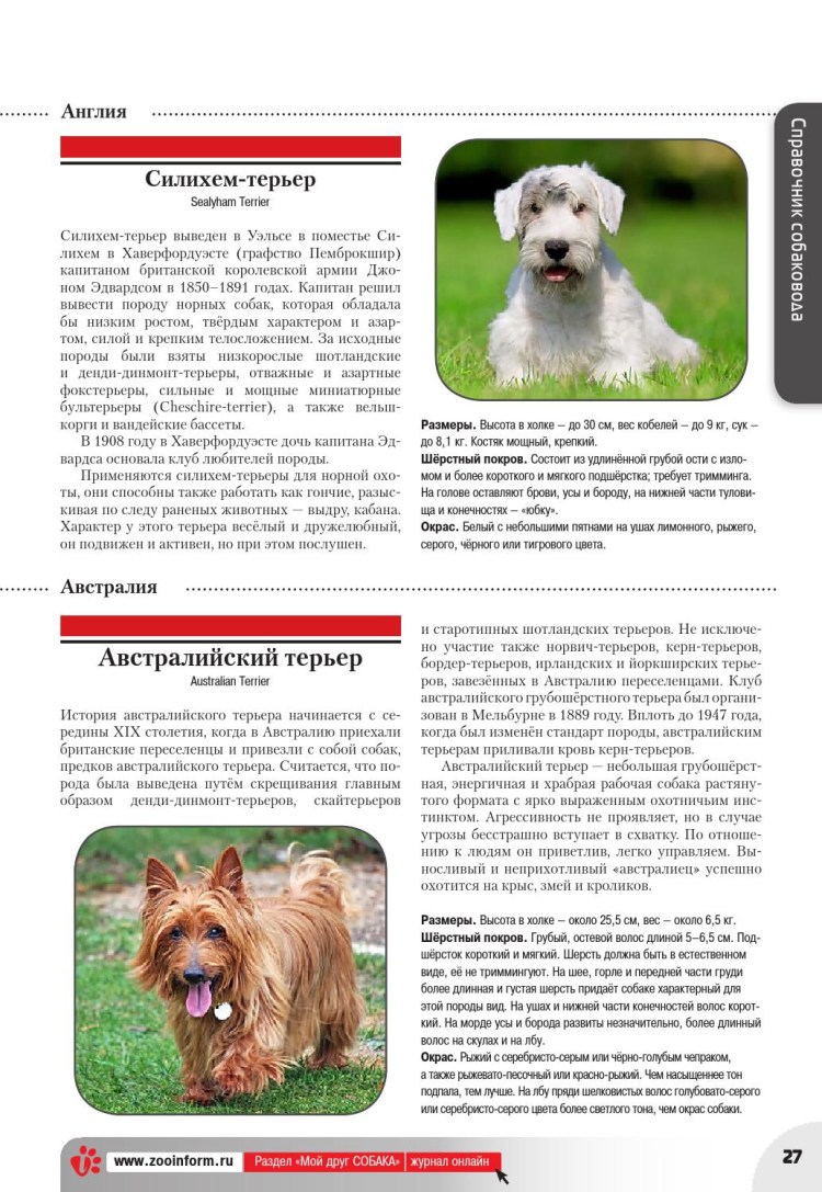 Норвич терьер тримминг схема и фото