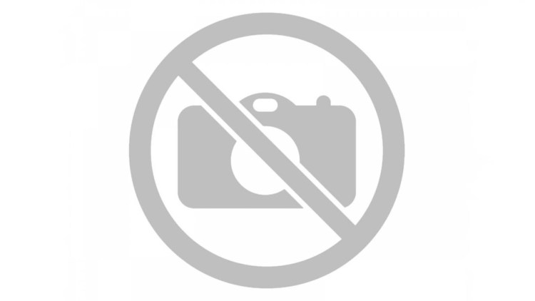 Флерова стрижка собак и уход за их шерстью