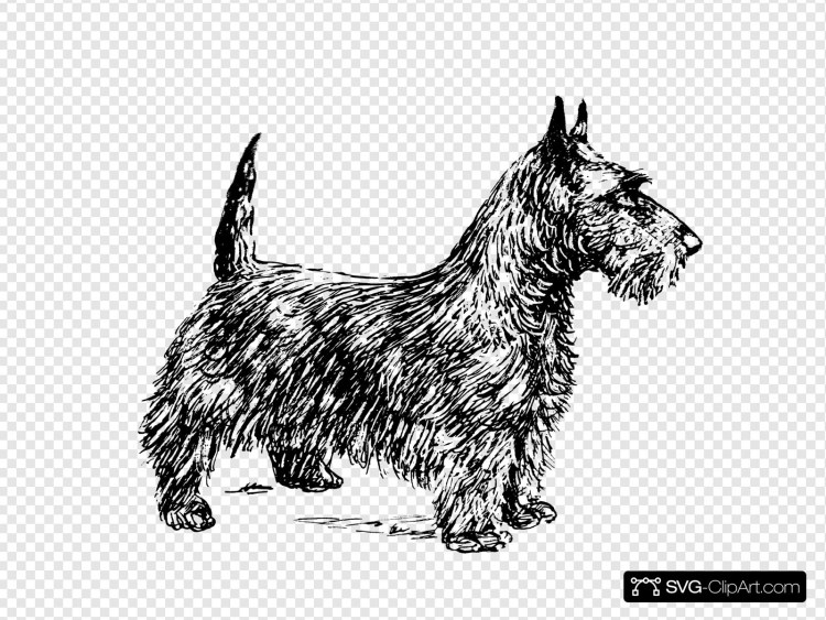 Норвич и Керн терьер